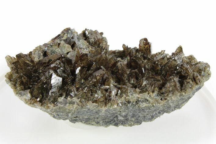Lustrous Axinite Crystal Cluster - Dalnegorsk, Russia #259013